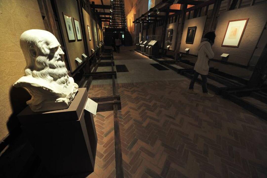 Italijoje eksponuojamas retai rodomas Leonardo autoportretas