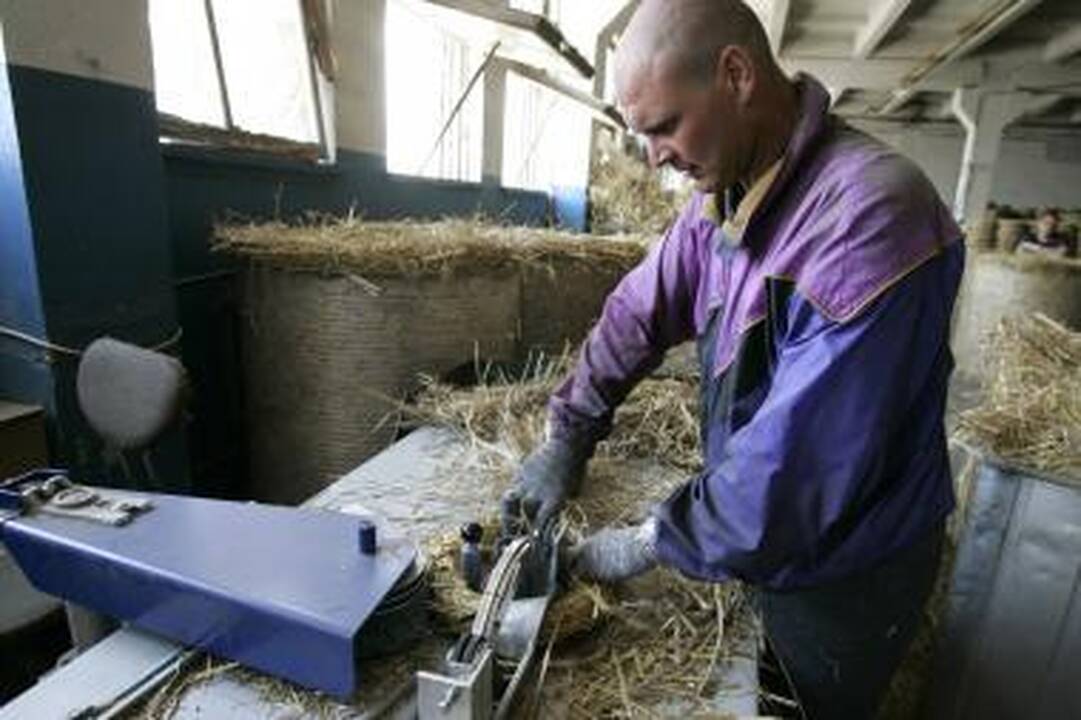 Darbo našumas padidėjo 4,7 procento 