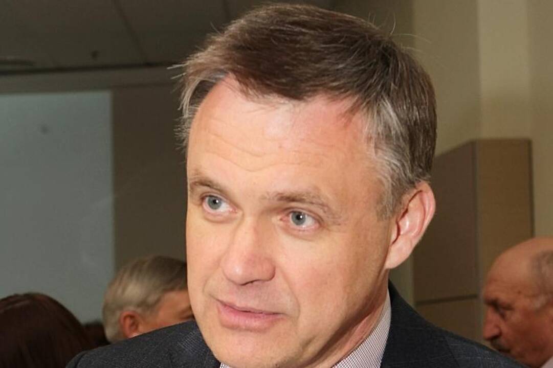 R.Dargis: 1993-aisiais įmonių vadovai pasinaudojo istorine galimybe 