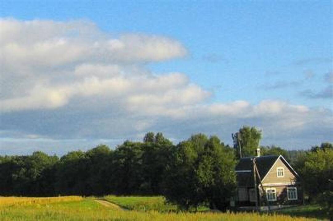 Sunkių nusikaltimų vienkiemiuose mažėja