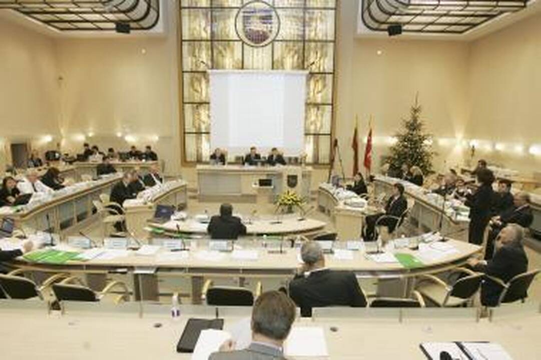 Rinkimams ruošiasi ir nevyriausybinės organizacijos (papildyta)