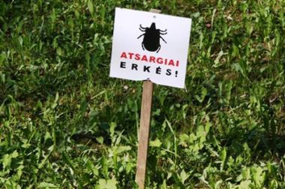 Erkės jau pabudo – saugokimės!