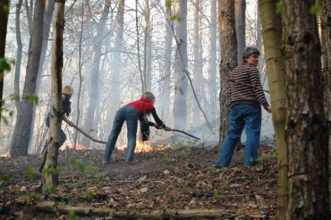 Gaisrą Žvėryno miške gesino ir patys gyventojai