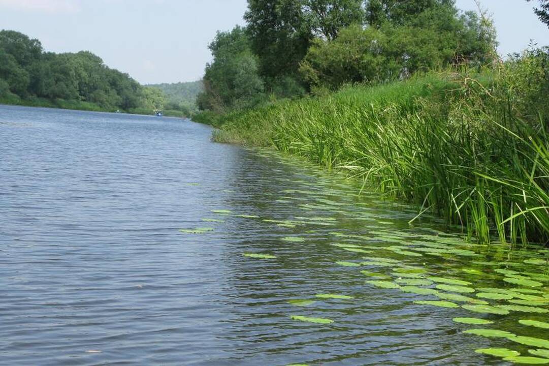 Ar tikrai poilsiaujate prie švarių upių?