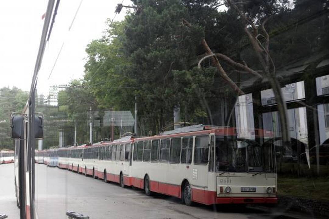 Vicemeras: keleivių laipinimas tik pro priekines duris vilniečiams bus tik į naudą