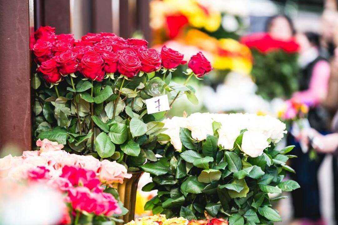 Gėlių pardavėja: žmonės nori už šildymą susimokėti, o ne gėles perka