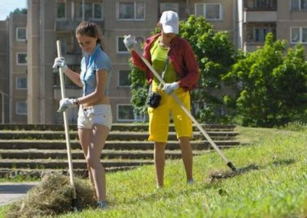 Moksleiviai atostogas keičia į darbą