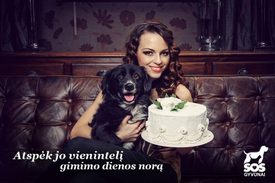 Gyvūnų prieglauda švenčia veiklos jubiliejų