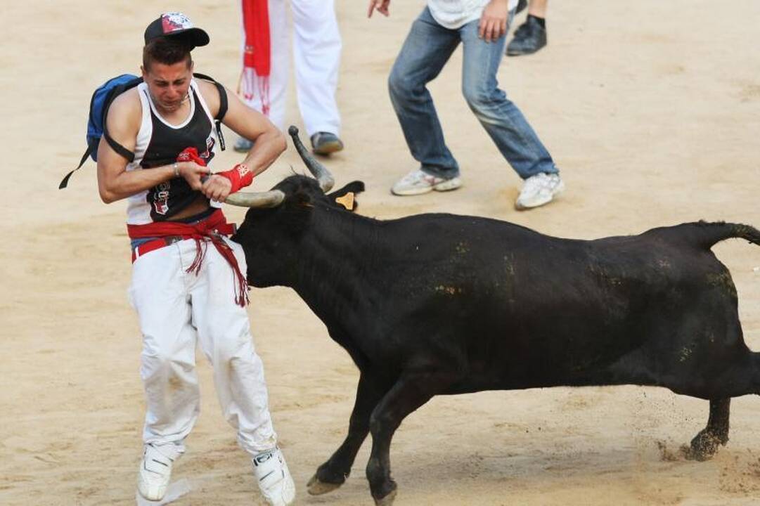 Pamplona: antrąją bulių bėgimo dieną subadytas australas 