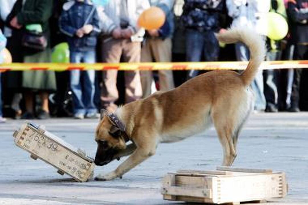 Policija kviečia gyventojus į Angelų sargų šventę