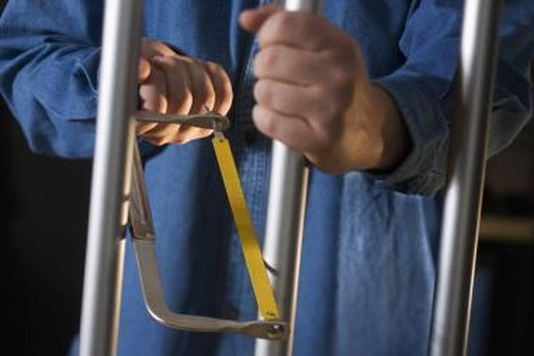 Teisės ekspertai: senaties terminai turi būti ilgesni
