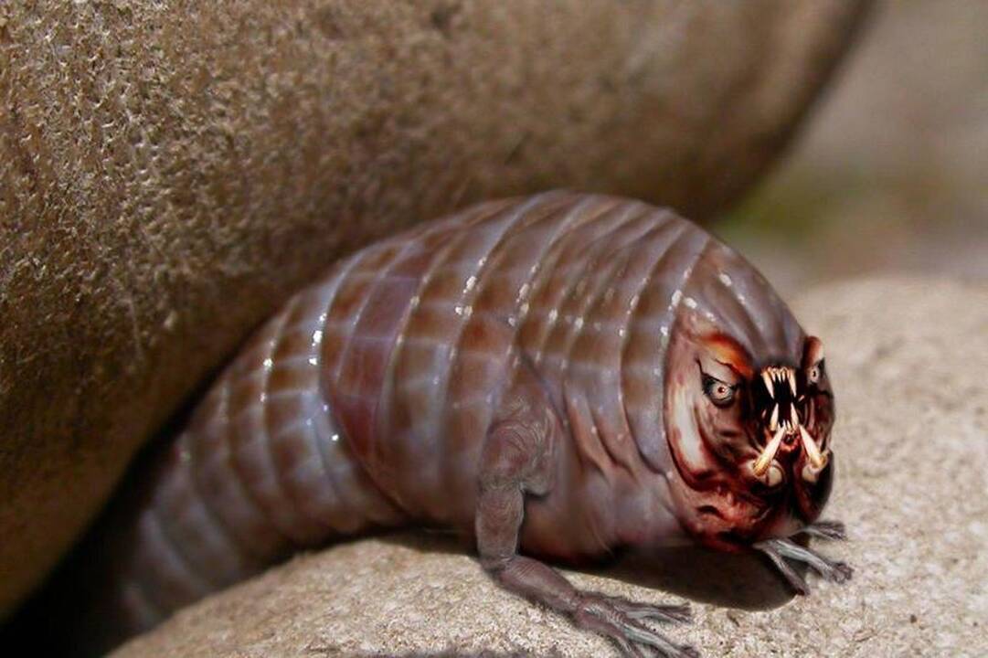 Aukso kasyklų šachtose aptiktos kirmėlės galėtų gyventi Marse