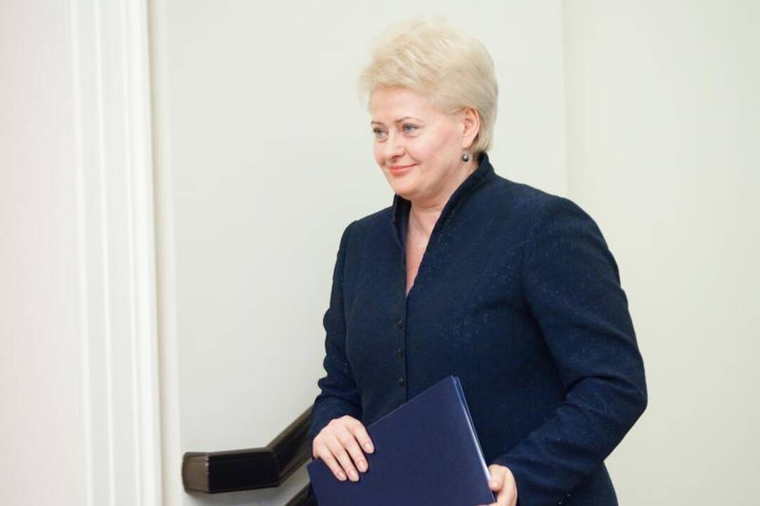 Prezidentė siūlys uždrausti verslo įmonėms finansuoti partijas