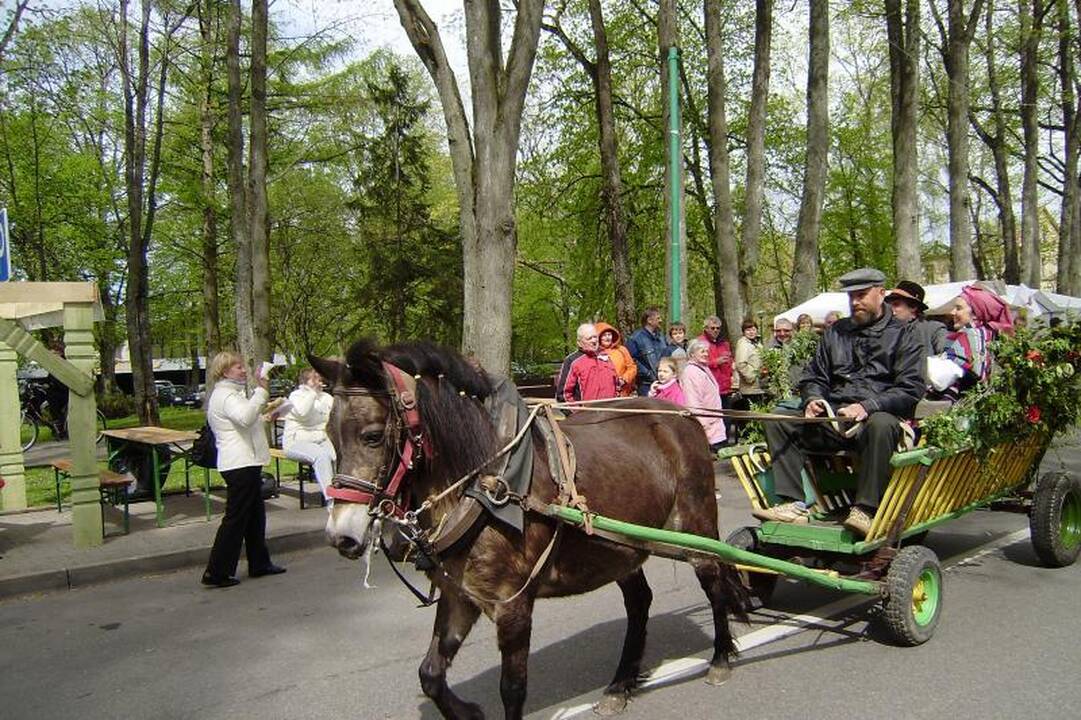 Palangos Kurorto šventė užburs smagiais renginiais