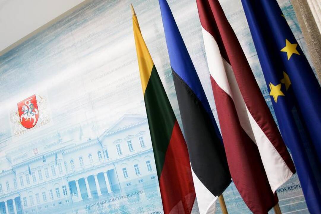 V.Landsbergis: abejinga ar besmegenė Europa neišliks