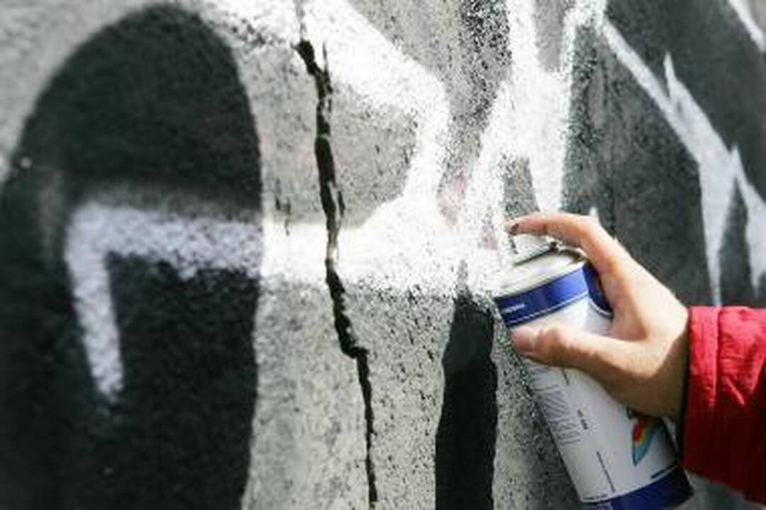 Vilniaus policijos vadovas: naktį pagautas terliotojas - turbūt ne Solomonas (papildyta)