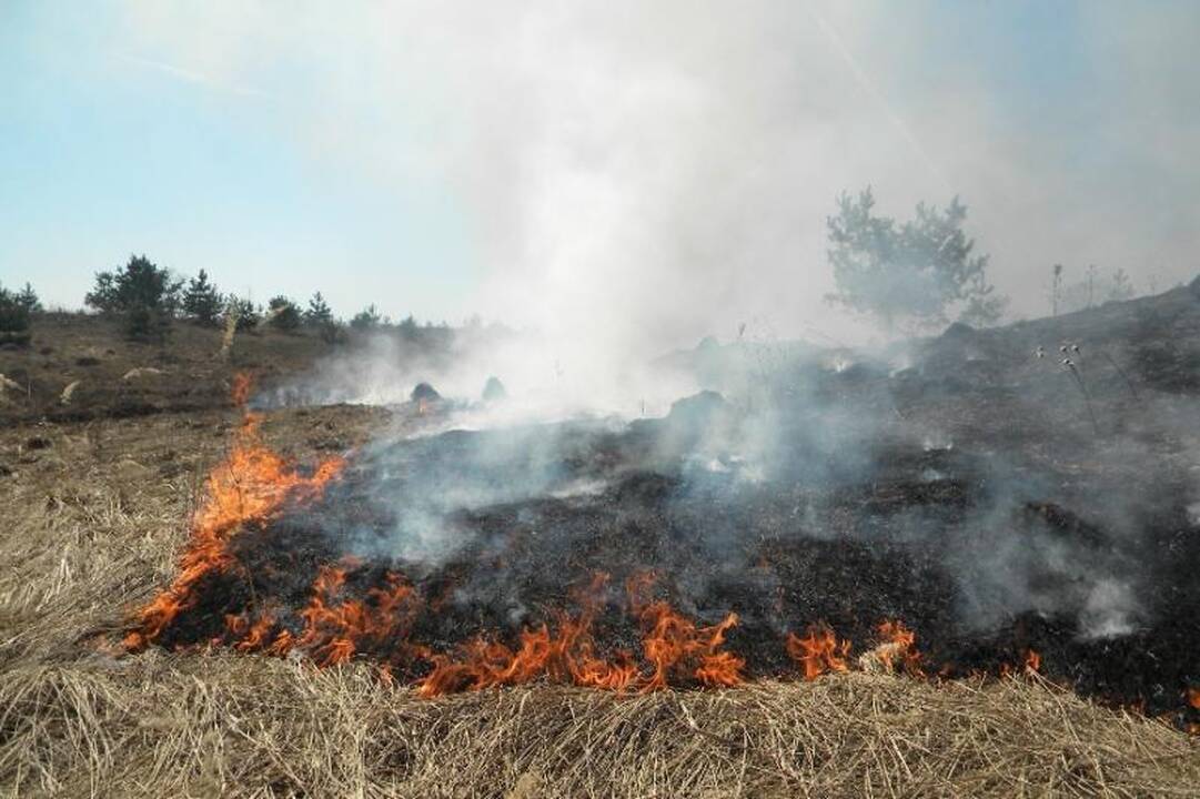 Savaitgalį ugniagesiai 370 kartų vyko gesinti degančios žolės