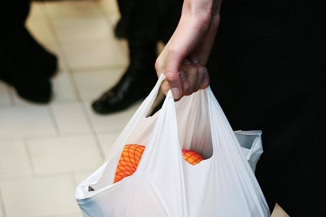 Parduotuvę apvogę jaunuoliai atsidūrė areštinėje
