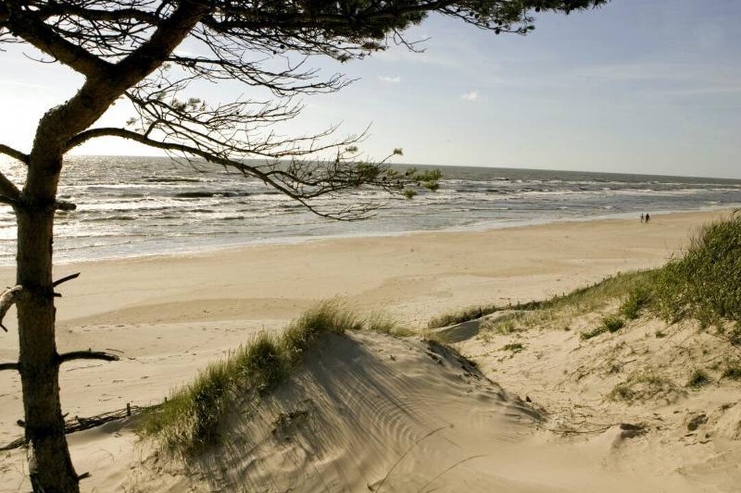 Pajūris traukia vandalus ir vagis
