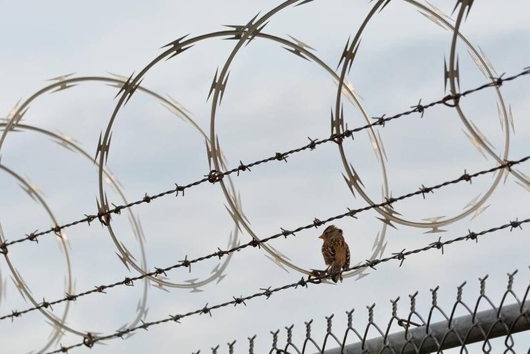Šiaulių mokesčių inspekcijos sprogdintojas į laisvę anksčiau neištrūks