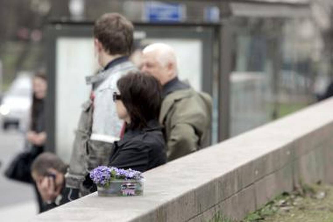 Žibučių prekeivės – policijos akiratyje
