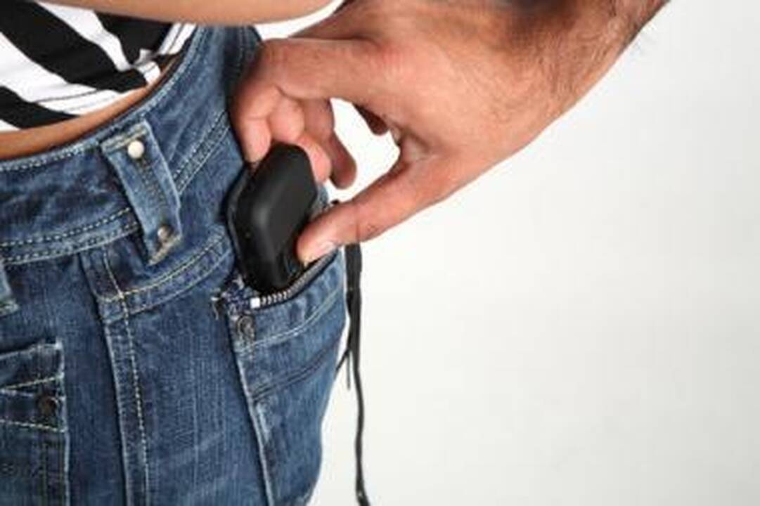 Vagišiai parodoje nušvilpė telefono prototipą