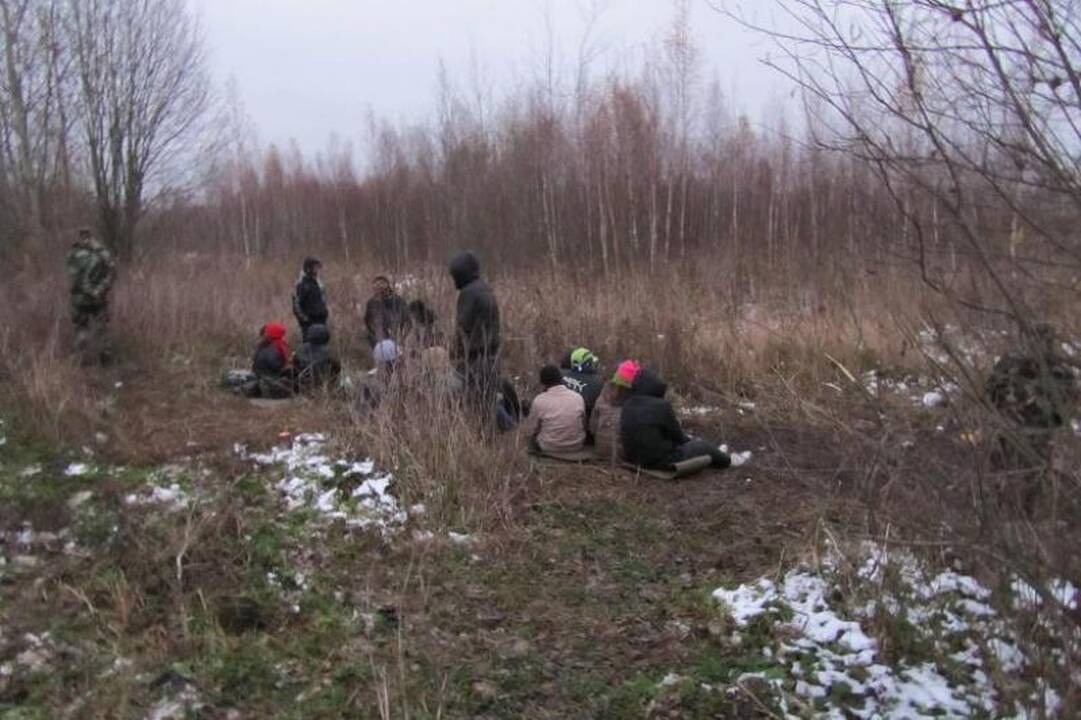 Pasienyje sulaikytas būrys nelegalų iš Afganistano ir Vietnamo