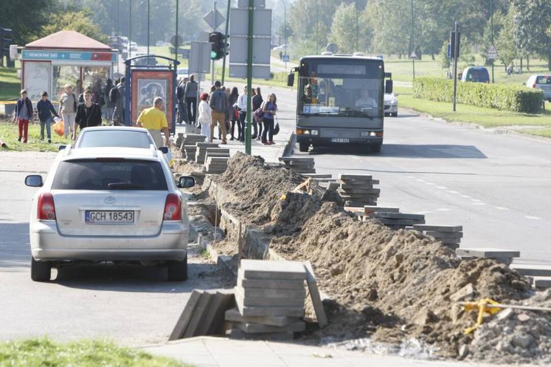 Viceministras A. Zaremba privalės nusišalinti nuo kai kurių sprendimų