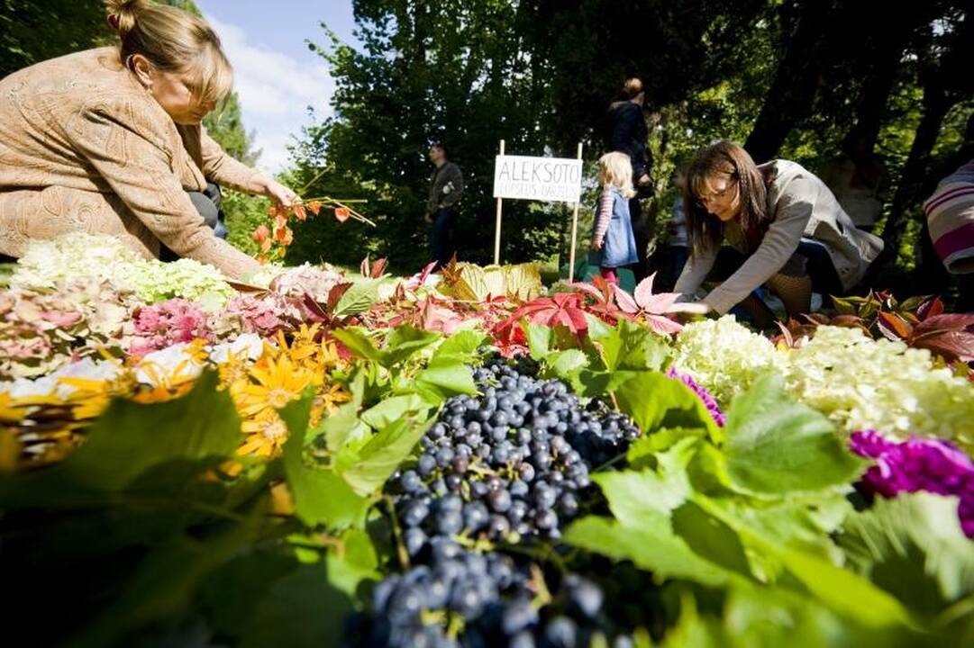 Grafas dirigavo Aleksoto bendruomenės šventei 