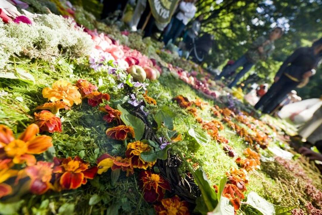 Grafas dirigavo Aleksoto bendruomenės šventei 