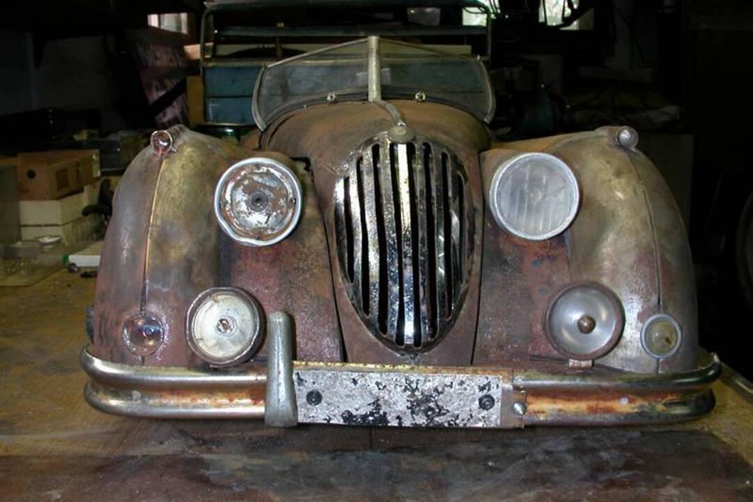 Vokiečio surūdijusi kolekcija - nuo „Porsche“ iki „Bugatti“