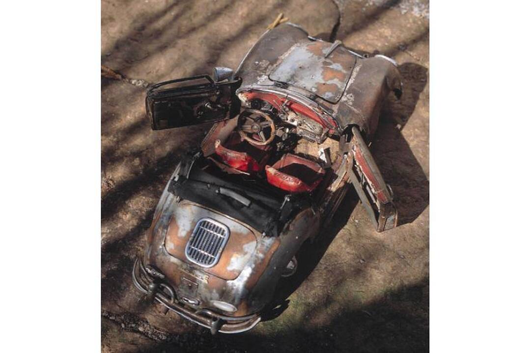 Vokiečio surūdijusi kolekcija - nuo „Porsche“ iki „Bugatti“