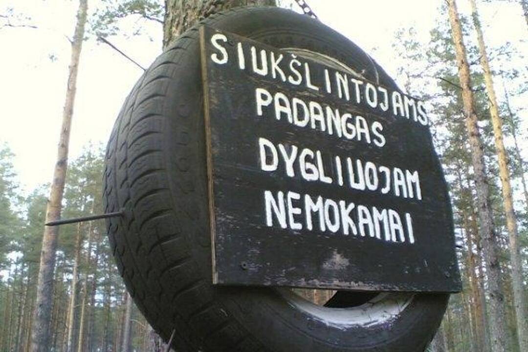 Kokias padangas rinktis – su dygliais ar be?