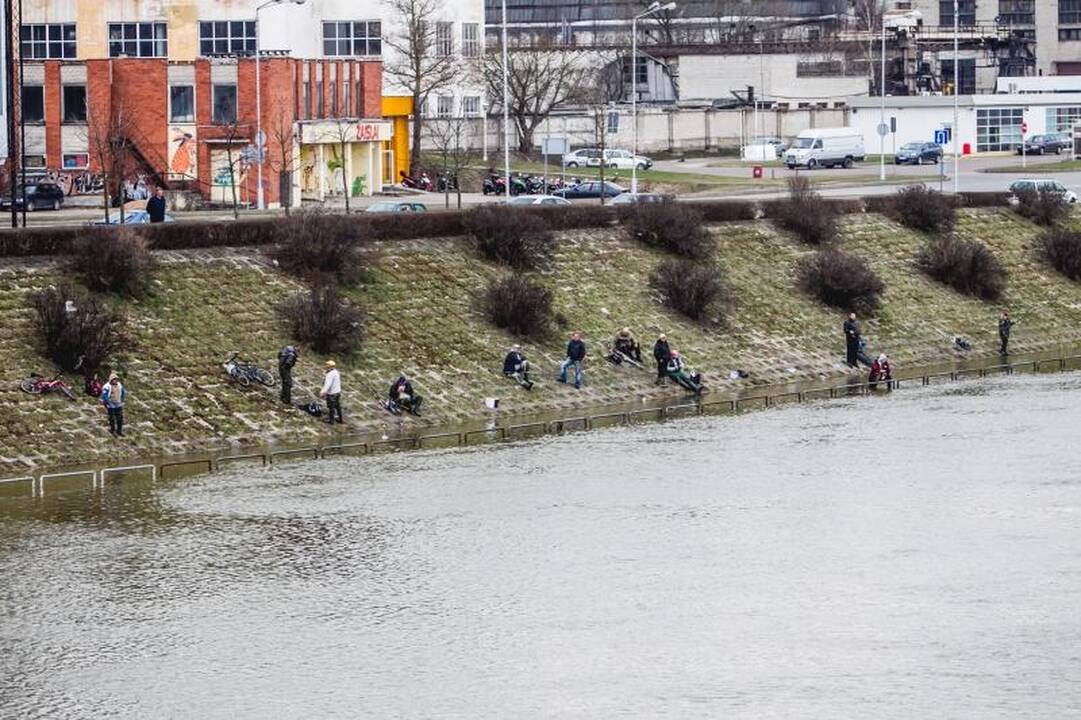 Patvinęs Nemunas  – masalas žvejams: vanduo pakilo beveik 3 metrus