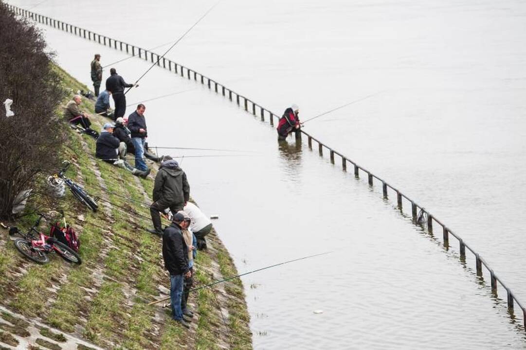 Patvinęs Nemunas  – masalas žvejams: vanduo pakilo beveik 3 metrus