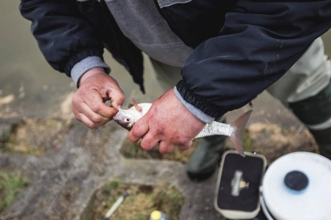 Patvinęs Nemunas  – masalas žvejams: vanduo pakilo beveik 3 metrus