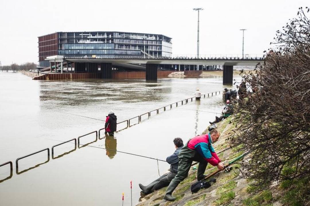 Patvinęs Nemunas  – masalas žvejams: vanduo pakilo beveik 3 metrus