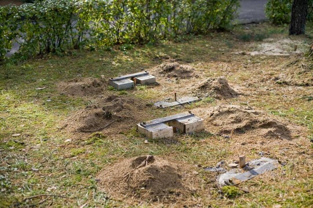 Petrašiūnų kapinėse pastatyti pirmieji kolumbariumai