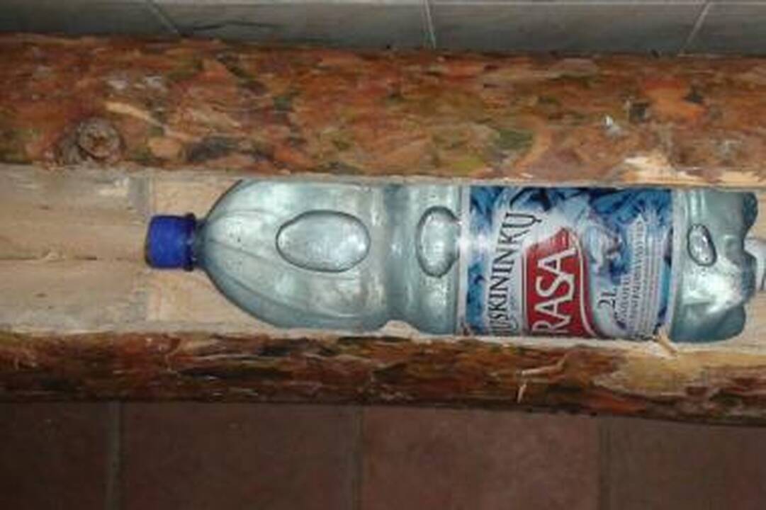 Nuteistiesiems skirti daiktai slėpti rąste