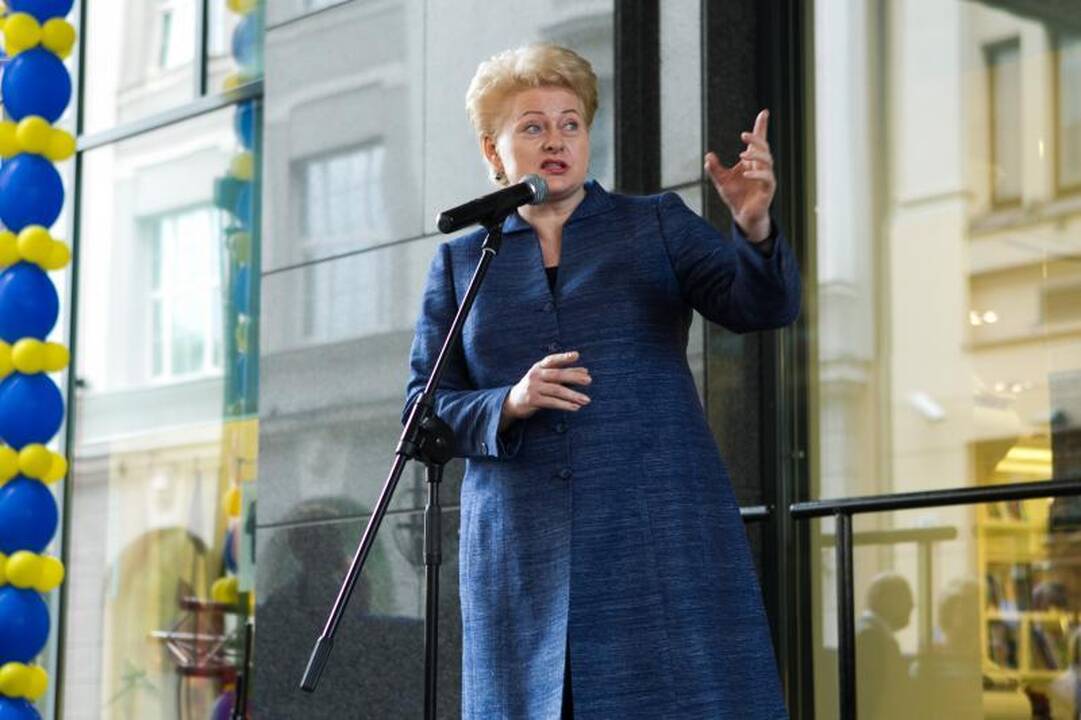 Kokios grėsmės laukia Lietuvos pirmininkaujant ES?