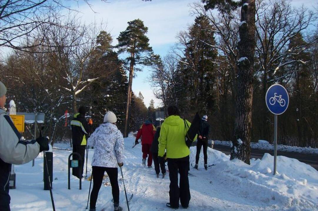 Speigo nepabūgo šimtai „Snaigės žygio“ dalyvių (naujokų įspūdžiai)
