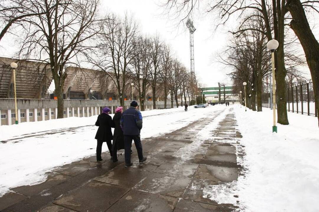 Sporto šlovės alėjos daigas netrukus sužaliuos?