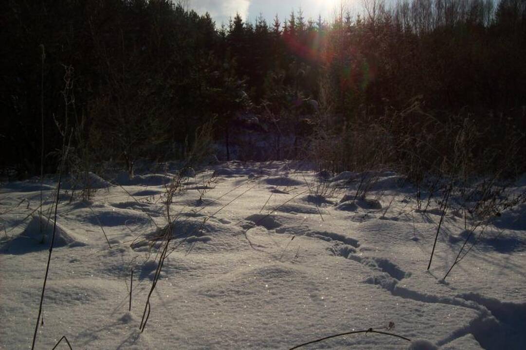 Speigo nepabūgo šimtai „Snaigės žygio“ dalyvių (naujokų įspūdžiai)