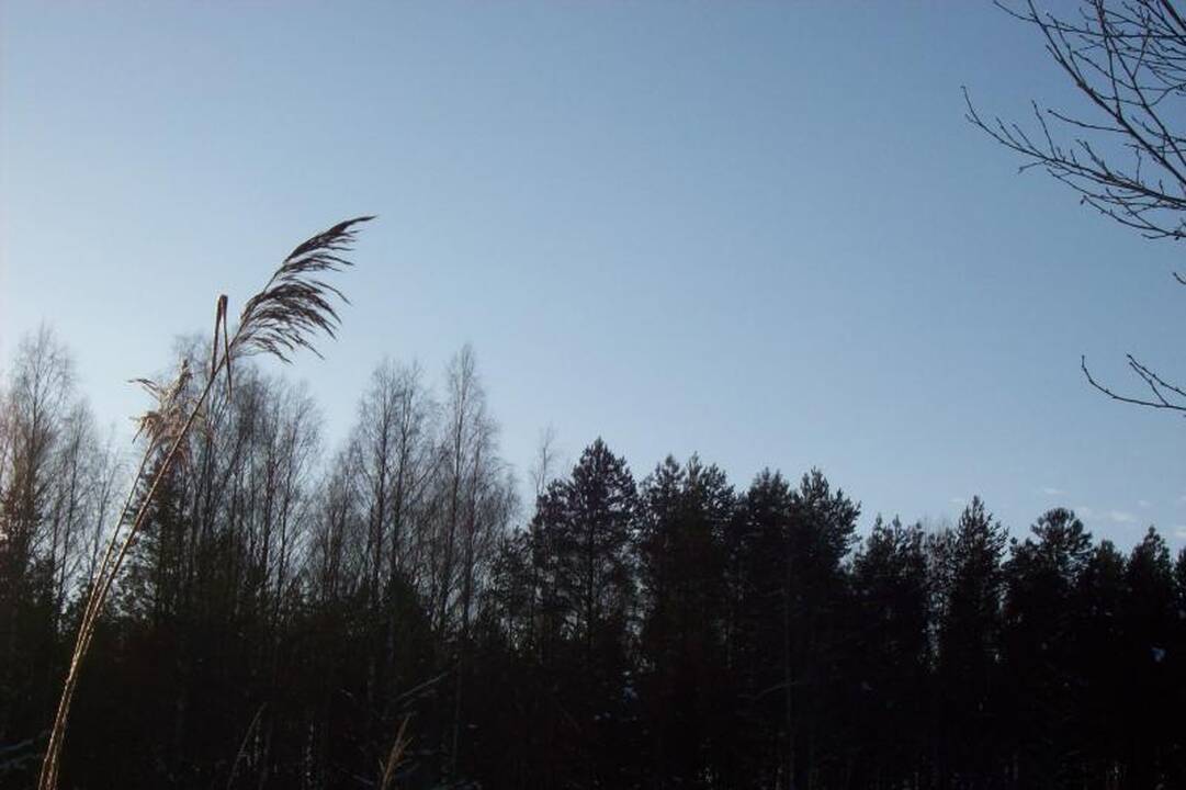 Speigo nepabūgo šimtai „Snaigės žygio“ dalyvių (naujokų įspūdžiai)