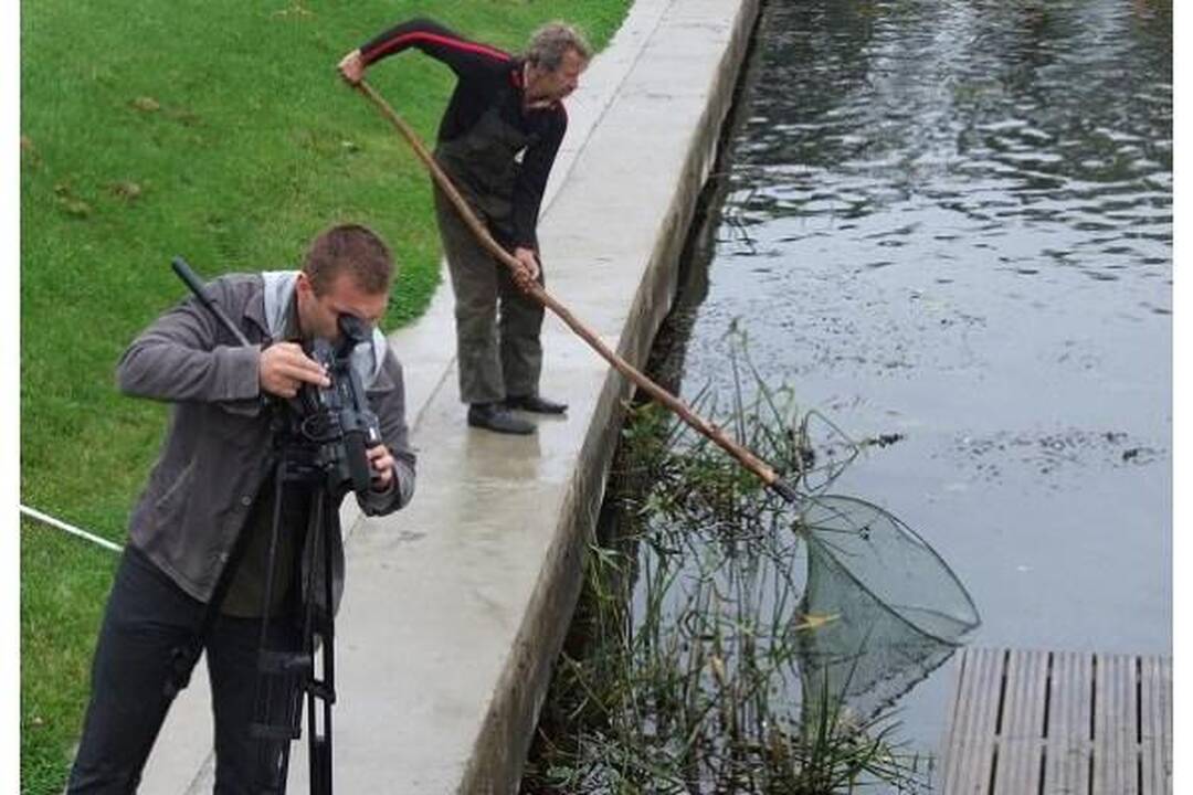 Žuvys iš Šyšos perkeliamos į Atmatą, teršėjas jau žinomas (papildyta)