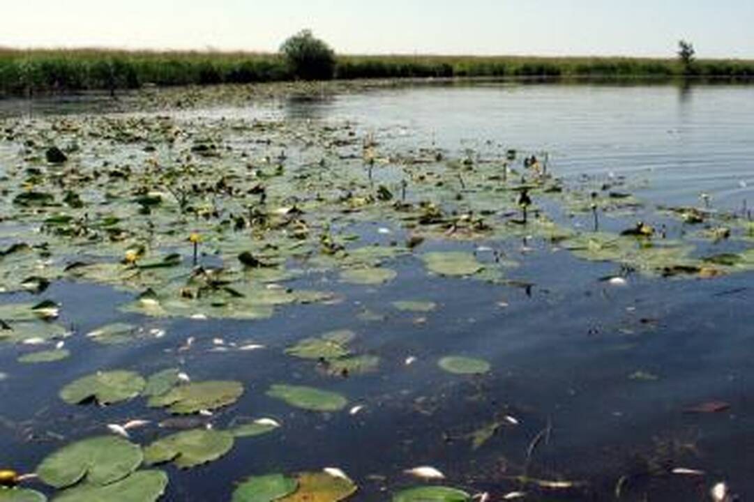 Iš Šyšos upės teršėjų reikalaujama 250 tūkst. litų