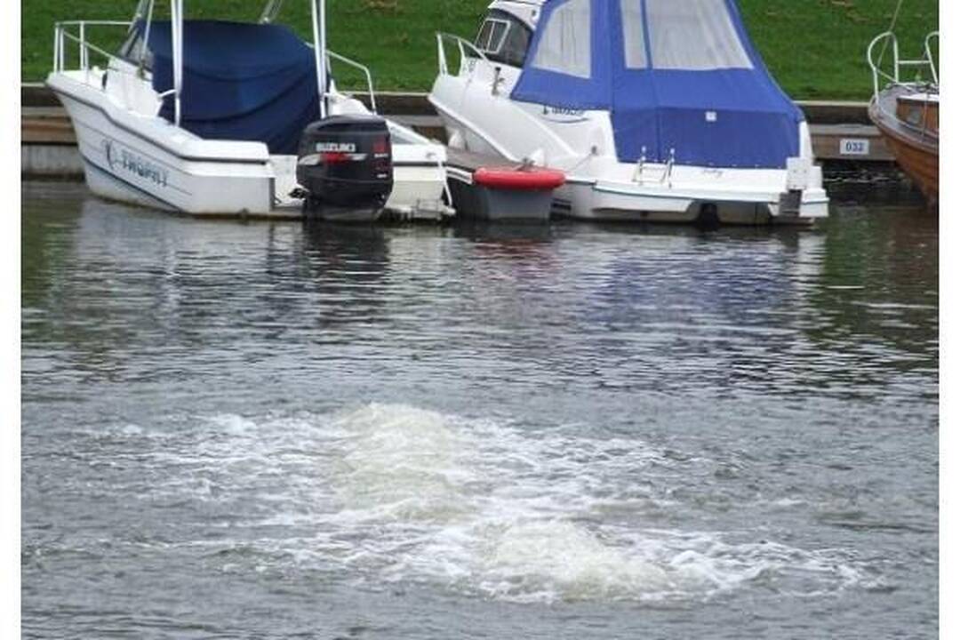 Žuvys iš Šyšos perkeliamos į Atmatą, teršėjas jau žinomas (papildyta)