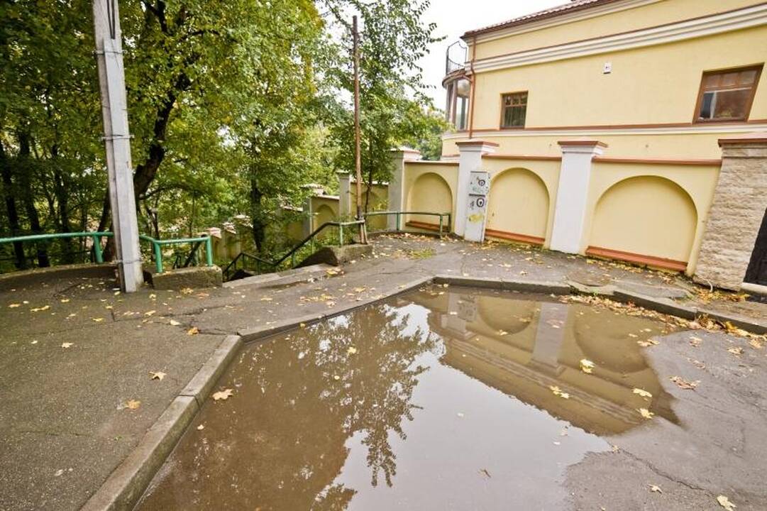 Kopdami Kauno laiptais nebeišsisuksime kojos?