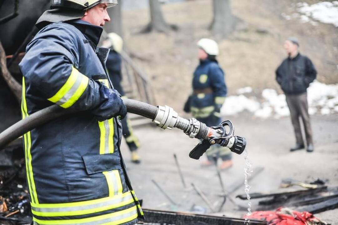 D.Bodiroga džiaugiasi Vilniuje sutiktais draugais