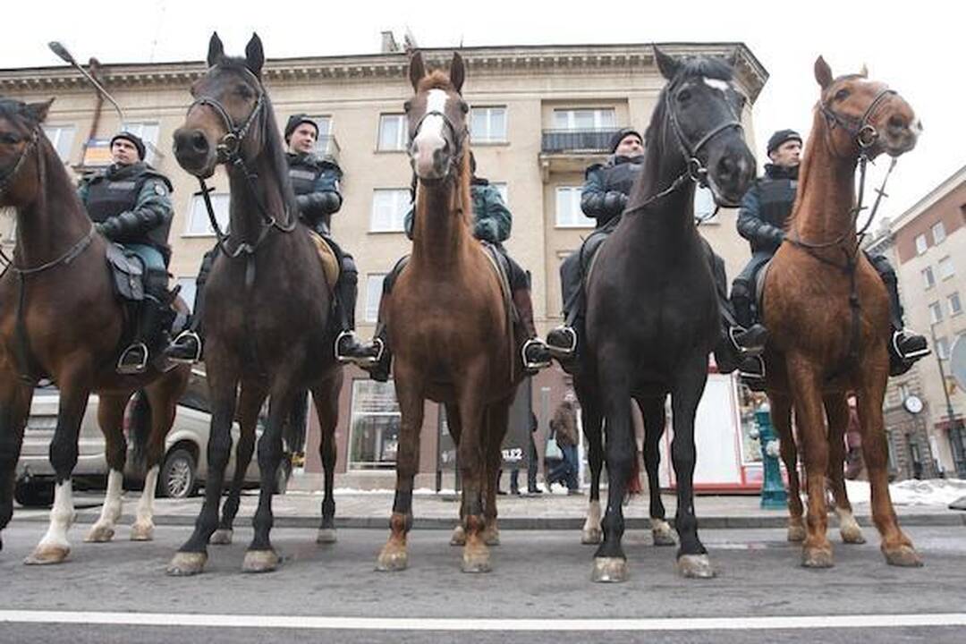 Studentų mitingas baigėsi taikiai (papildyta)